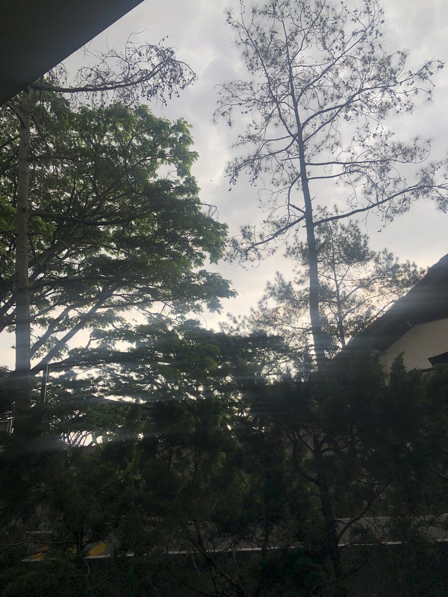 pureplemay's tweet photo. Day 23 — HARI INI PERTAMA KALI DISURUH INVENTORY DI GUDANG YG LUMAYAN DEBU SAMPE BERSIN BERKALI KALI (gapapasi) https://t.co/2kkRpszRxP