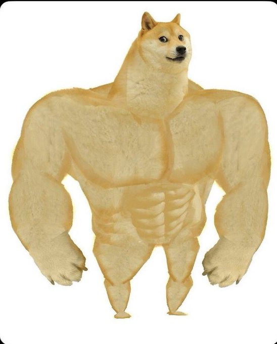 h4nlab's tweet photo. @traderInosuke yeah yeah, right right
@SwoleDogeX https://t.co/oxAQfhr1v2