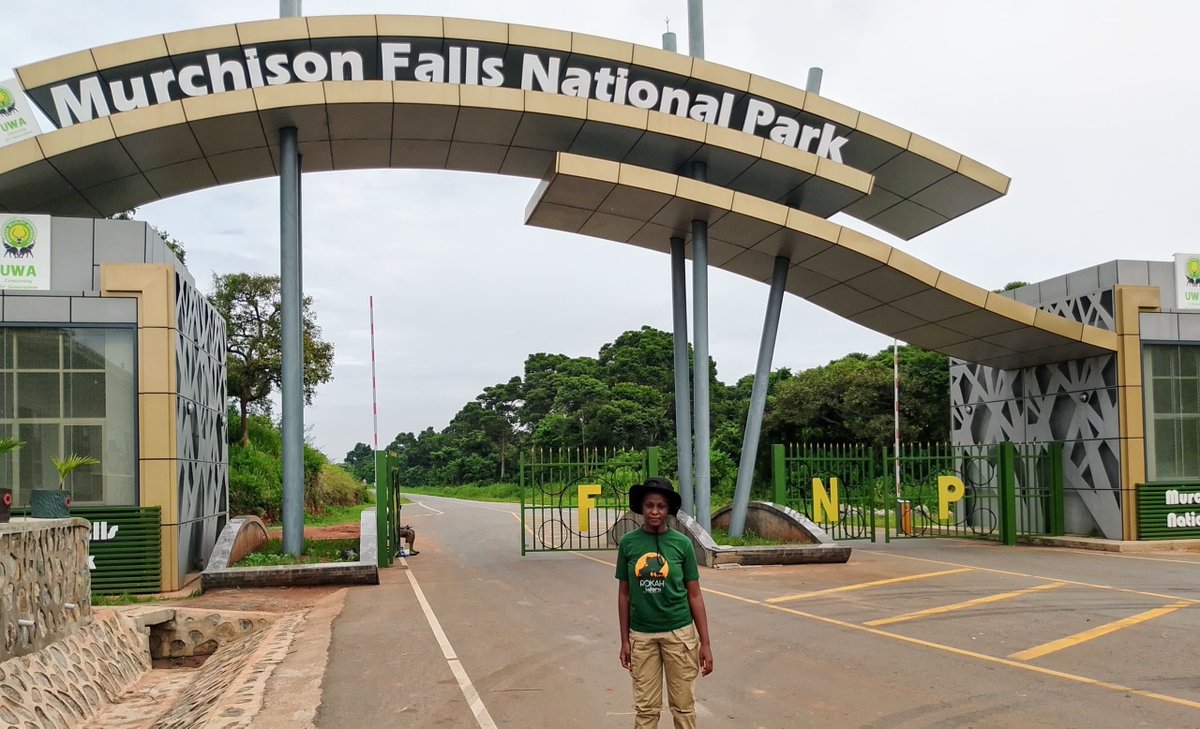 rokahsafaris's tweet photo. Open Park Days Are Back! 
Join Rokah Safaris from 25th–27th September for an unforgettable adventure to Murchison Falls National Park.
Email: rokahsafaris@gmail.com
Limited spaces available—book early and let's explore Uganda together!
#OpenParkDays #RokahSafaris https://t.co/BayyUrQWGA