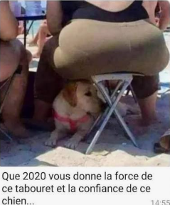 raphaelpp's tweet photo. @Zoeillle ça me rappelle un meme https://t.co/mn7r2Fg5MS