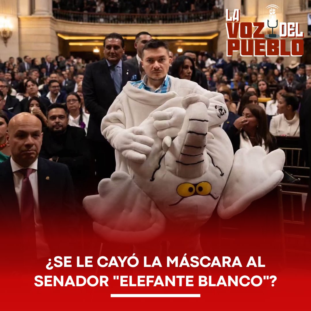 lavozdepueblo1's tweet photo. 🚨 ¿SE CAYÓ LA MÁSCARA? LUIS CARLOS RÚA RESPALDA COSTOSO TRASLADO DE POSESIÓN PRESIDENCIAL

Una ola de indignación y fuertes cuestionamientos sobre la coherencia política sacude al Congreso de la República tras la votación en el Senado que busca trasladar la ceremonia de posesión presidencial al departamento del Cauca. Entre los respaldos que más causaron sorpresa y rechazo se encuentra el del nuevo senador Luis Carlos Rúa, conocido popularmente en redes como "El Elefante Blanco", quien votó afirmativamente junto a bancadas de derecha una proposición que implica un desproporcionado gasto en movilidad, seguridad y logística.

Diversos sectores de oposición y figuras públicas criticaron duramente al congresista por alejarse de sus banderas de austeridad y veeduría al dinero público. Asimismo, recordaron que la Constitución estipula que el mandatario debe jurar su cargo ante el Congreso de la República, por lo que destinar recursos del Estado para mover a la institucionalidad a un recinto militar resulta un derroche innecesario. La medida requerirá ahora la aprobación de la Cámara de Representantes para concretarse.