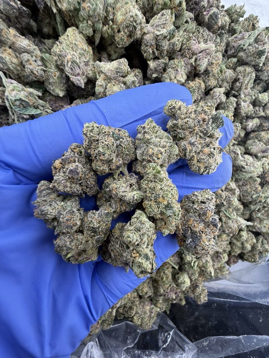 Manchesterbuds0's tweet photo. Weed Beswick, Weed Crumpsall, Weed Moston, Weed Harpurhey, Weed Oldham Road, Weed Blackley, Weed Longsight, Weed Cheetham Hill, Weed Clayton, Weed Ardwick. https://t.co/31DZeYOYHT