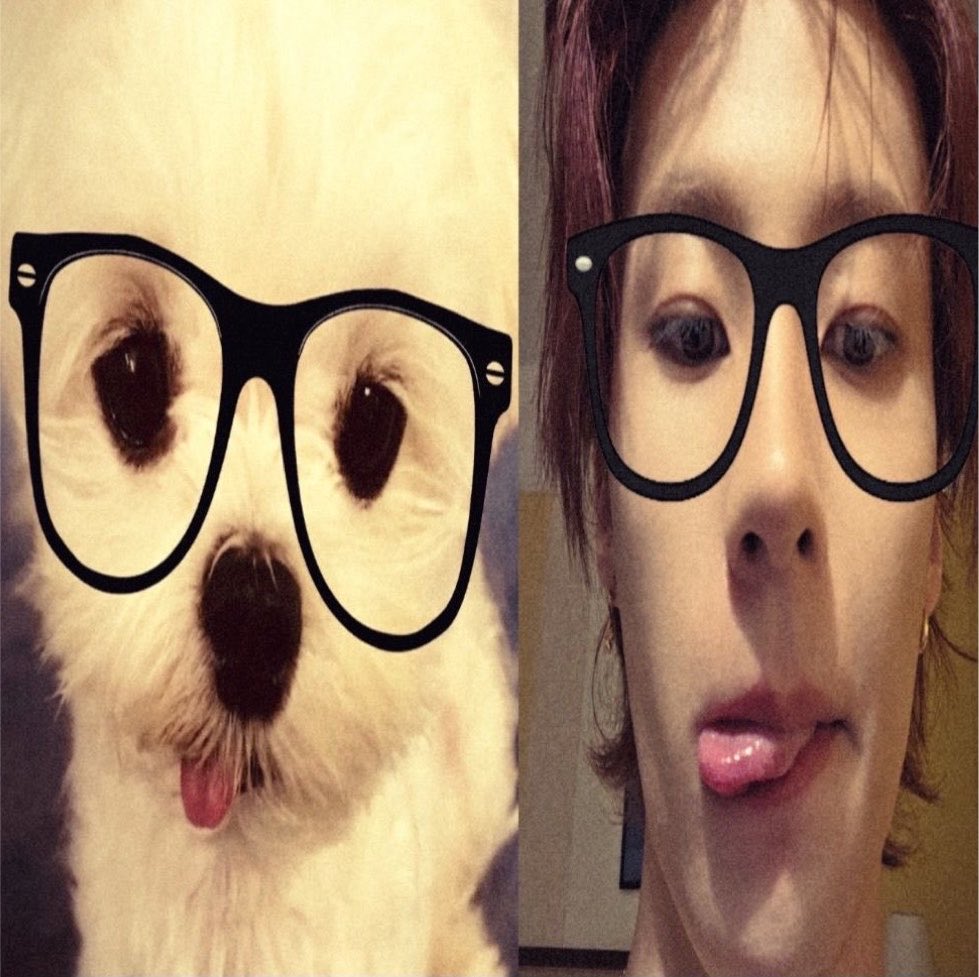 asbaguette's tweet photo. อยากวิ่งแลกหมาเด็กใส่แว่นว่ะ https://t.co/xOLUGLCxlJ