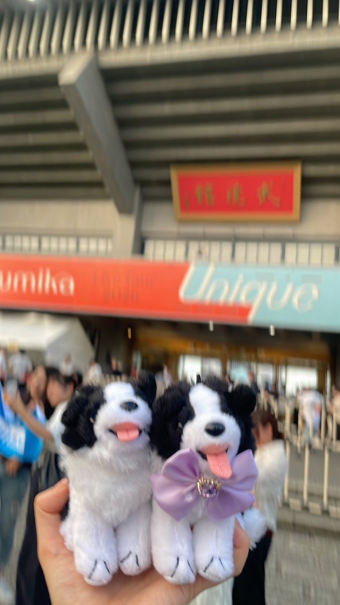 smk_3373's tweet photo. これからも、変わらず、
愛し抜いて行きたいと思うのです〜❤️‍🔥
と感じたライブだったなあ！
Uniqueすぎるsumikaが大好きだ🏠
あずきちゃん今日もありがとう🥳
(チビいろはブレブレ) https://t.co/9la8vpV8qN