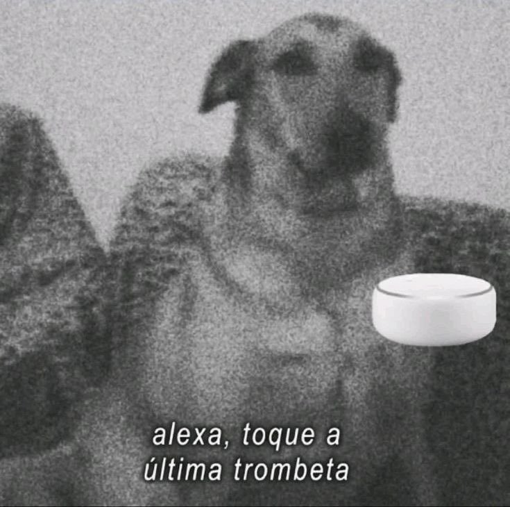 Moço do Boleto 🧾 tweet media
