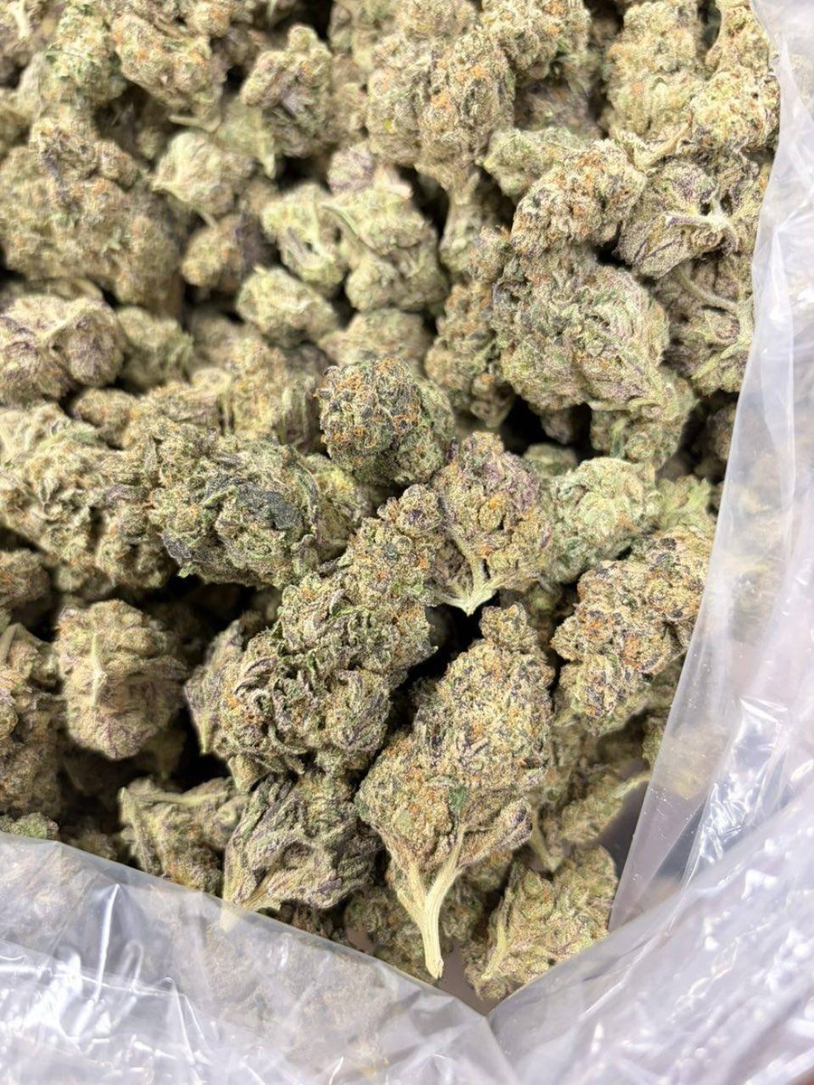 Manchesterbuds0's tweet photo. Weed Delivery Wythenshawe, Weed Delivery Whalley Range, Weed Delivery Ardwick, Weed Delivery Deansgate, Weed Delivery Rusholme, Weed Delivery Castlefield, Weed Delivery Didsbury, Weed Delivery Salford, Weed Delivery Ancoats. https://t.co/fnMYTkudjp