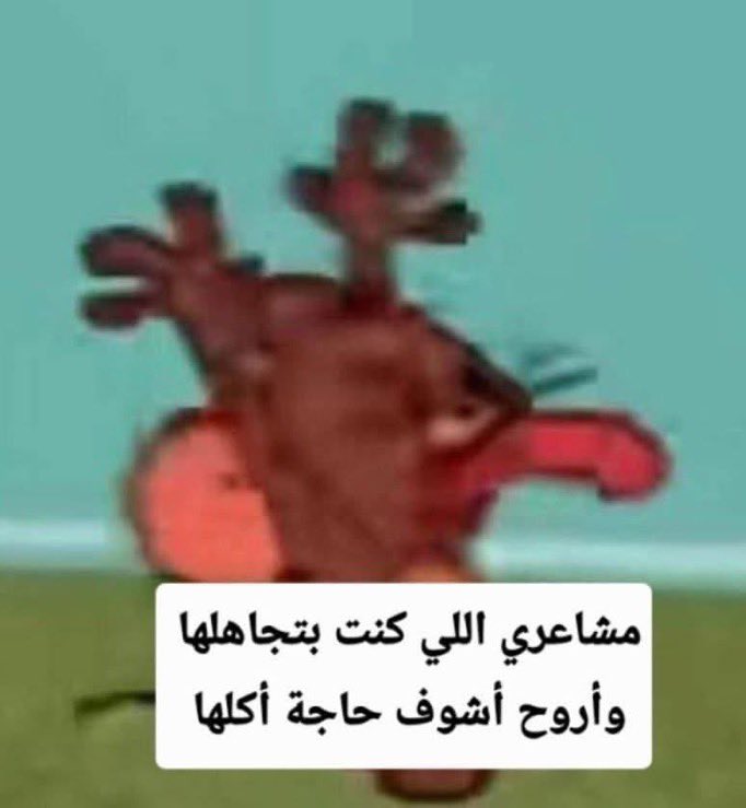 kasasbeh0's tweet photo. https://t.co/tklU7ZaLa9