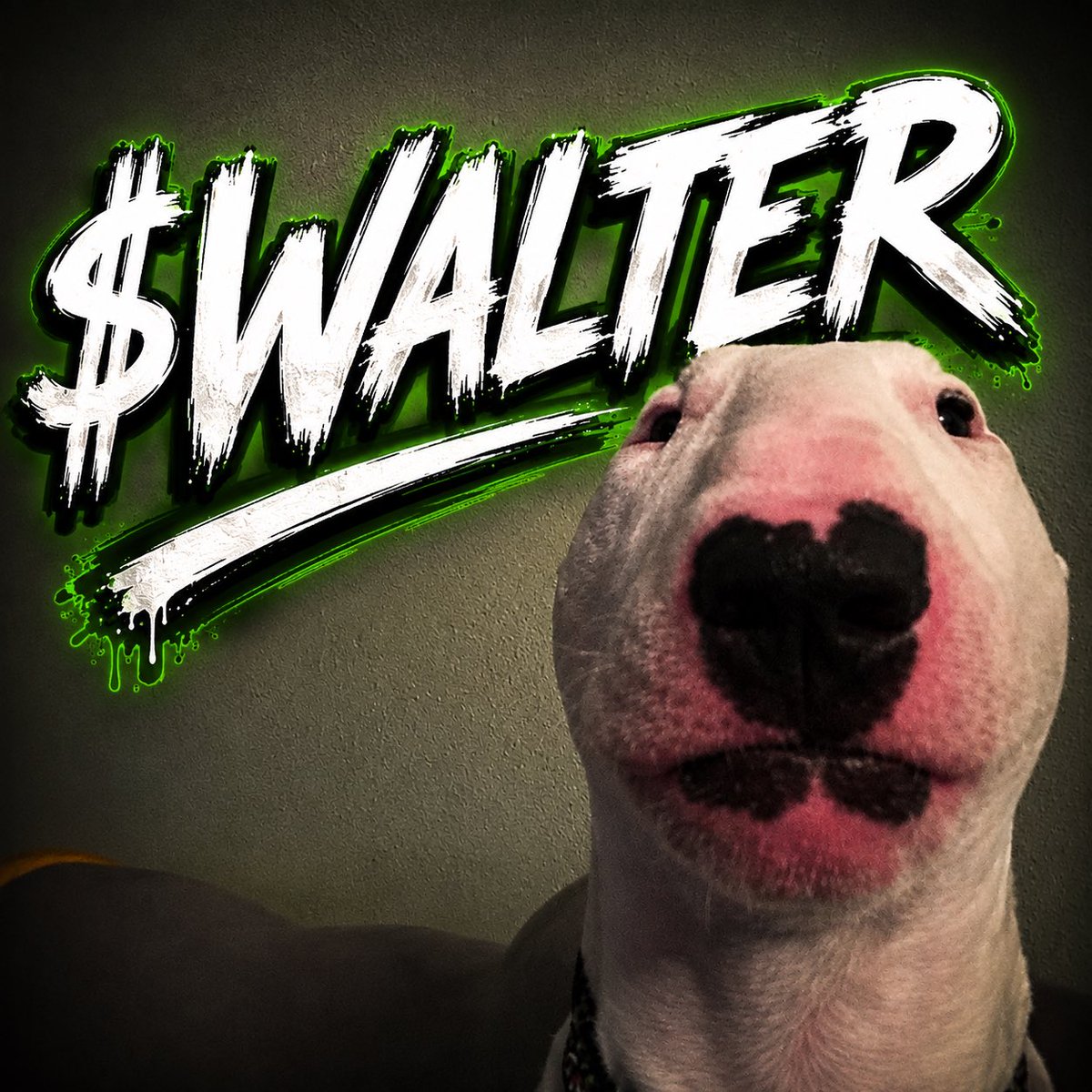 cleaveronsol's tweet photo. People are really fading the OG Walter at 6k?????

Too cheap imo.

5phZkjAE7sgTA5toSrAyduKzoWS1mQULDXNEuZUyASdQ https://t.co/PIhqAl9kWJ