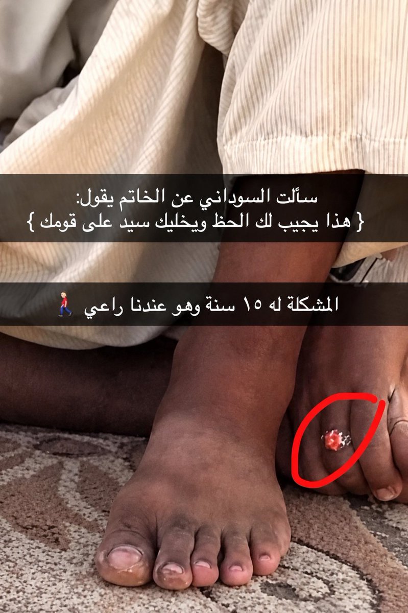 OSAMAH tweet media