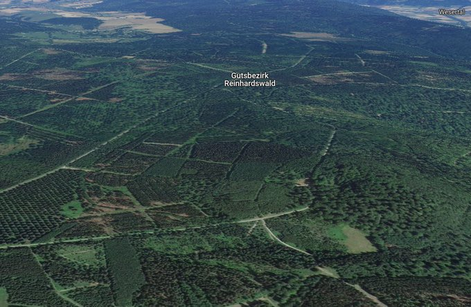 climacritic's tweet photo. La Germania ha abbattuto 120.000 alberi nella bellissima e antica foresta di Reinhardswald... per erigere turbine eoliche di 241 metri.  
Per salvare il pianeta... https://t.co/WVyl9KpWoZ
