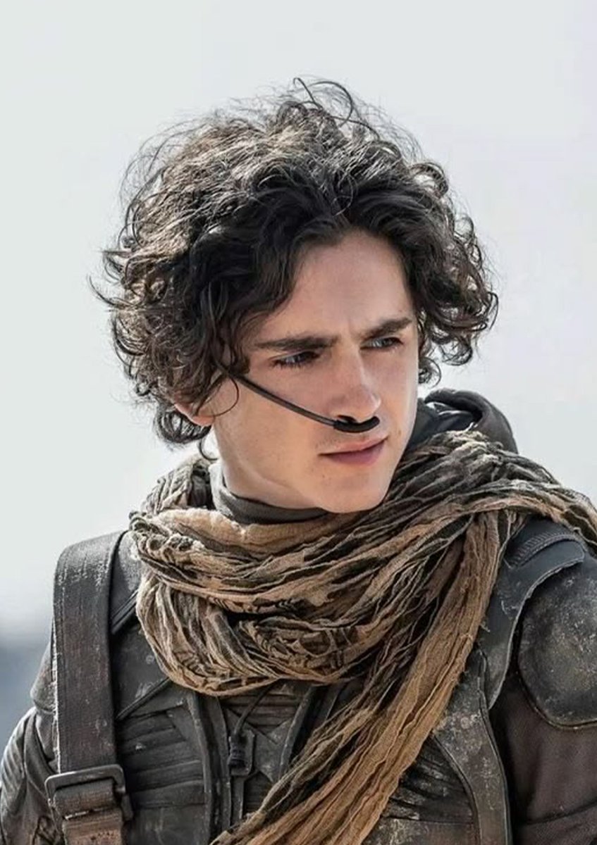 InternetH0F's tweet photo. Paul Atreides from the 'Dune' universe canonically is a direct descendent of King Agamemnon https://t.co/xesPbkWLBR