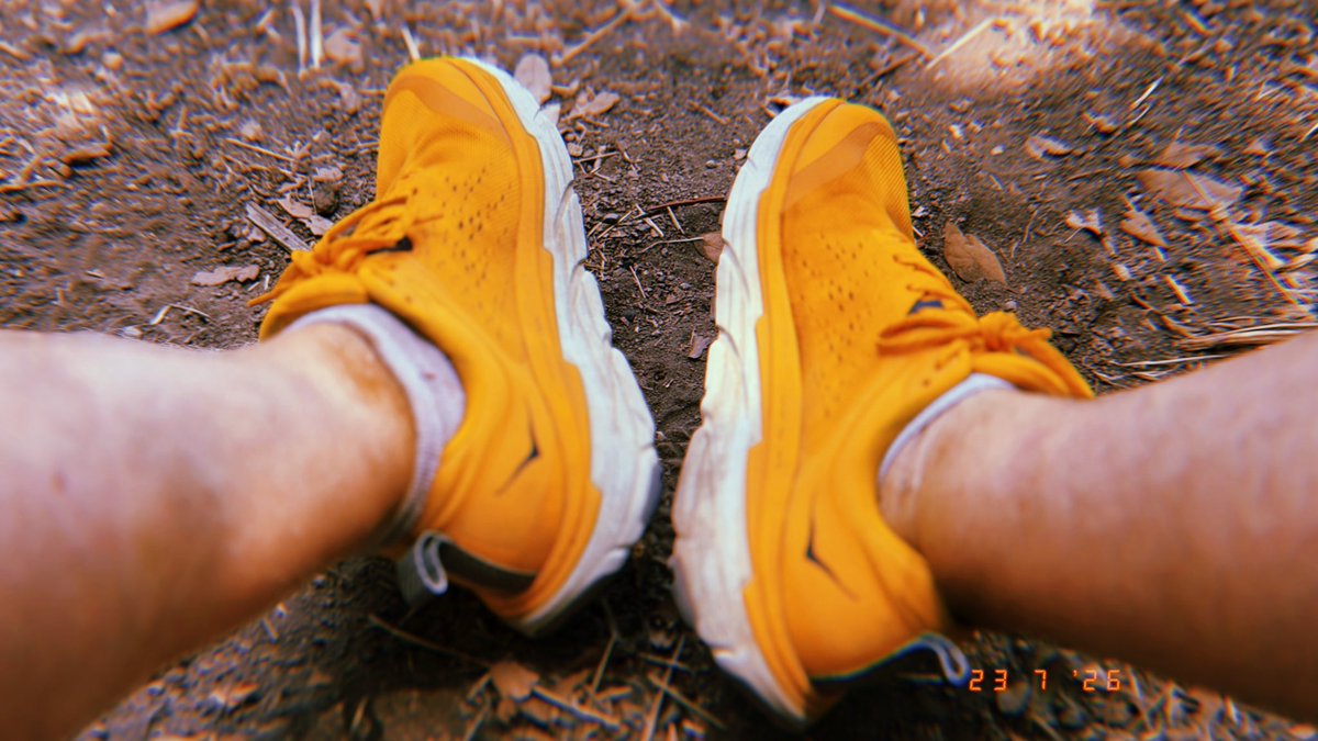 froginagrave's tweet photo. ***
Summer Cinema 27
33*

Orange Juice Puurrrllleeaaassseeee

.
.
.
.
.
.
.
.
#trailrun #hoka #fitinyour50s #froginagrave https://t.co/QlokF5ME9C