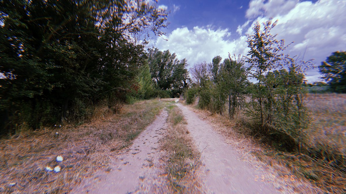 froginagrave's tweet photo. ***
Summer Cinema 27
33*

Orange Juice Puurrrllleeaaassseeee

.
.
.
.
.
.
.
.
#trailrun #hoka #fitinyour50s #froginagrave https://t.co/QlokF5ME9C