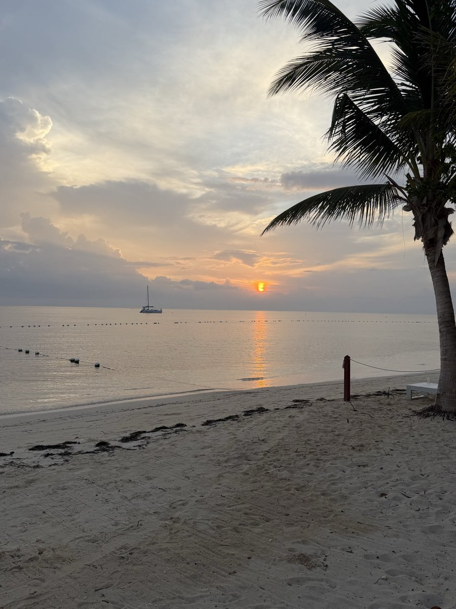 MrsAMHarrison's tweet photo. Jamaica, you once again were everything we hoped for and more 🇯🇲 ❤️….We came to celebrate 20 years of marriage and Jaci’s graduation, and we’re leaving with amazing memories. It’s always a blessing to be here 🙏. Until next time…
#OneLove https://t.co/WgCzAPBQJQ