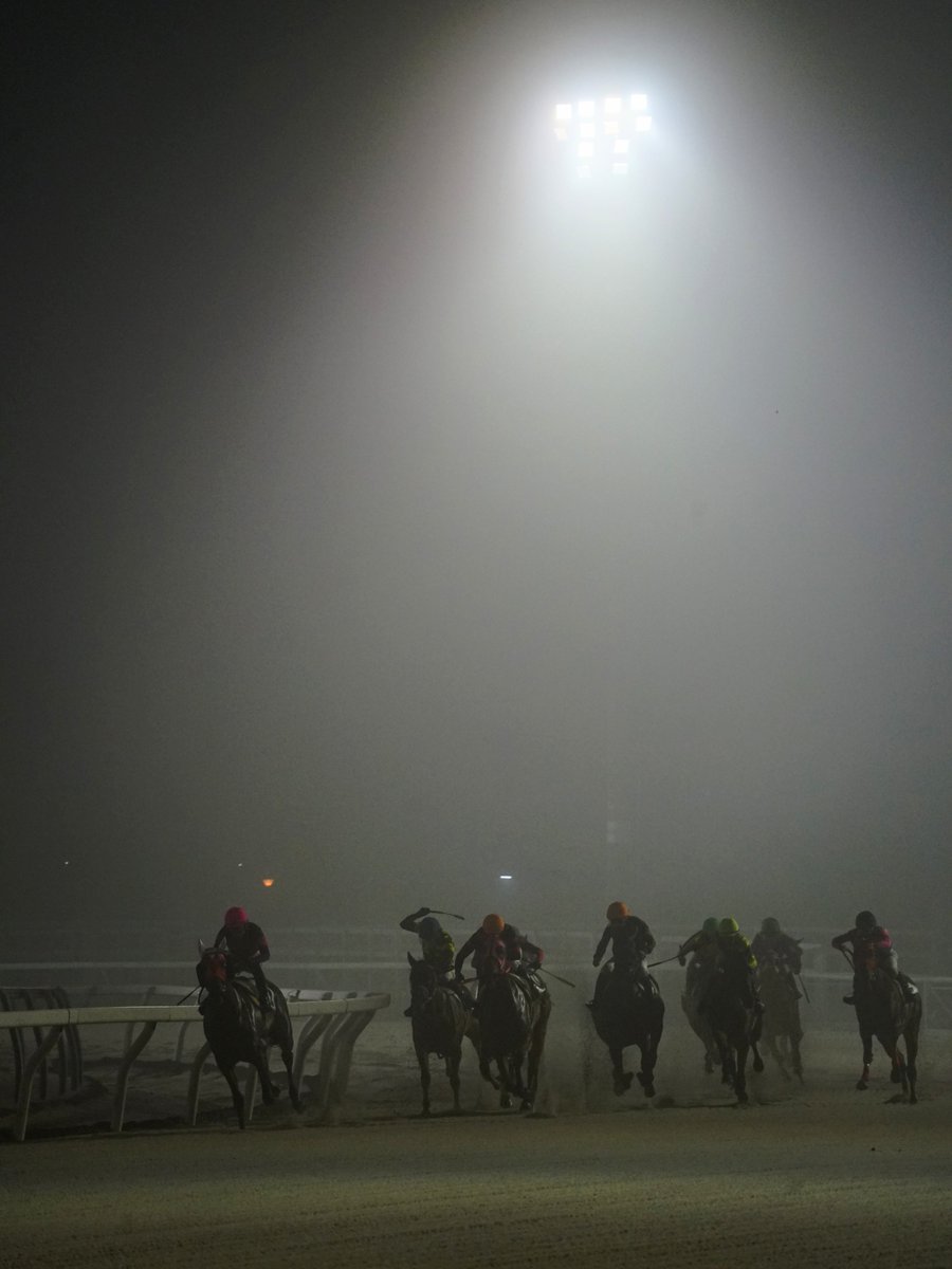 nekomeuma's tweet photo. 霧中の競馬

#ホッカイドウ競馬
#門別競馬場 https://t.co/HnQKQWuLte