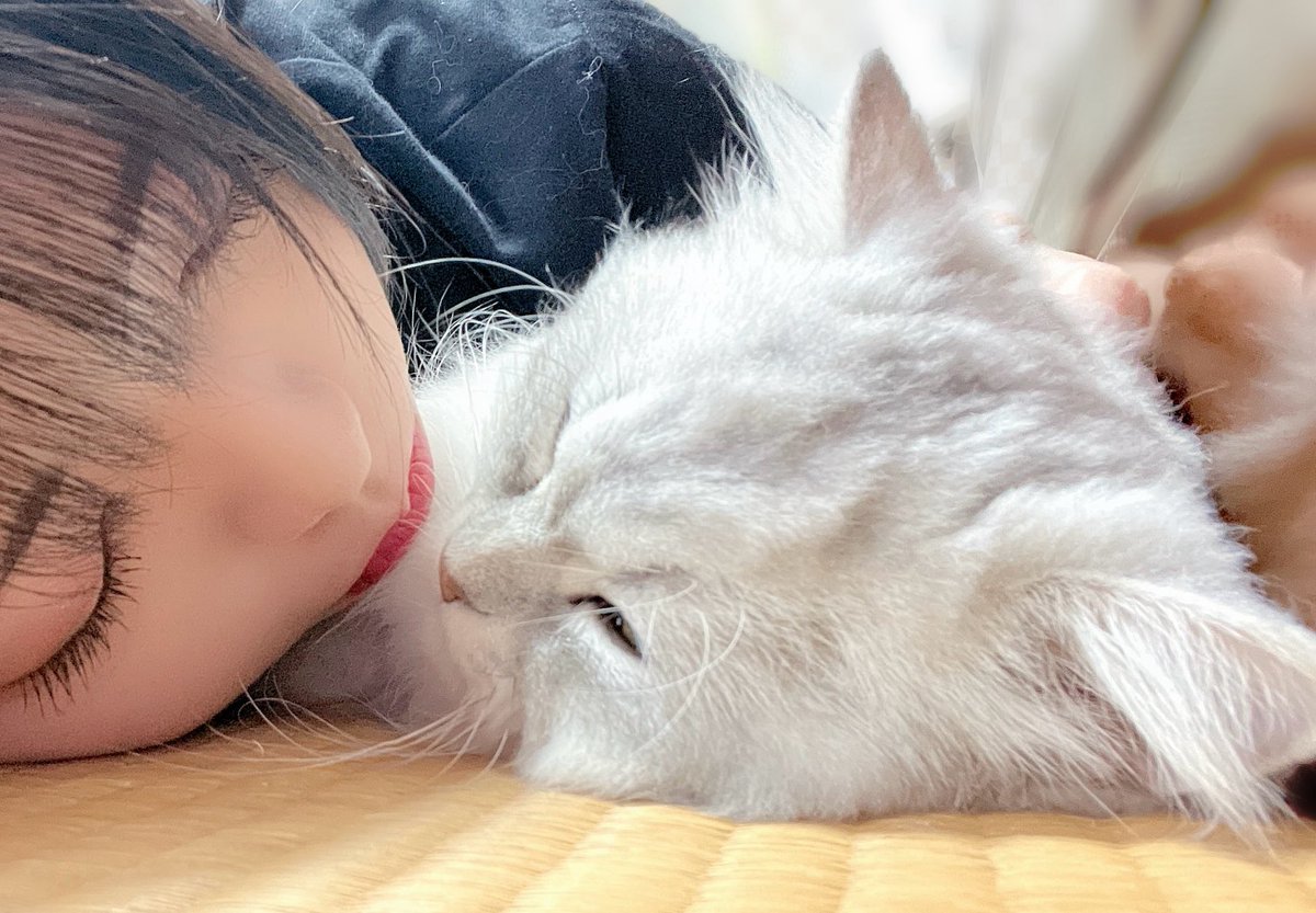 さちさち っ¯ ³¯ )っ~♡
