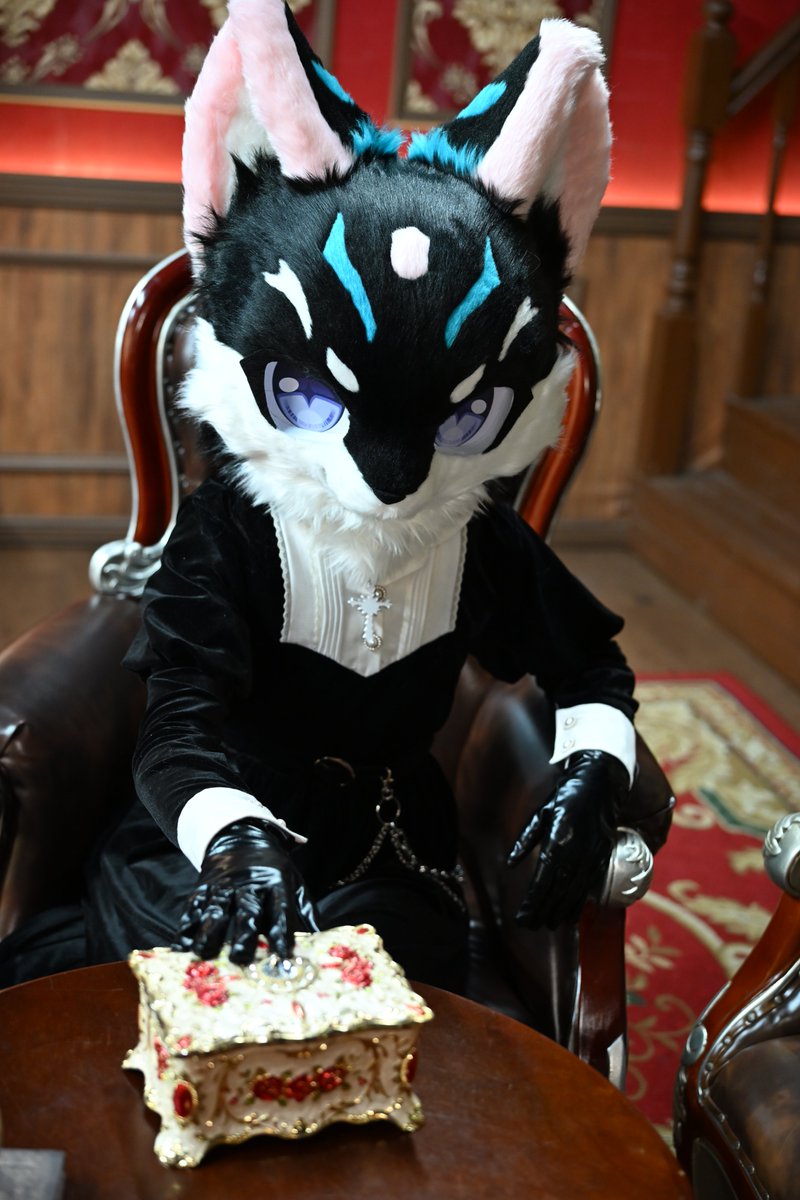Gam_angbaru's tweet photo. 상자 안에 뭐가 들어있을까? 👀👀

#fursuitfriday #fursuit
📷💙 : @ Dia_snake90 https://t.co/exCtKuYxK4