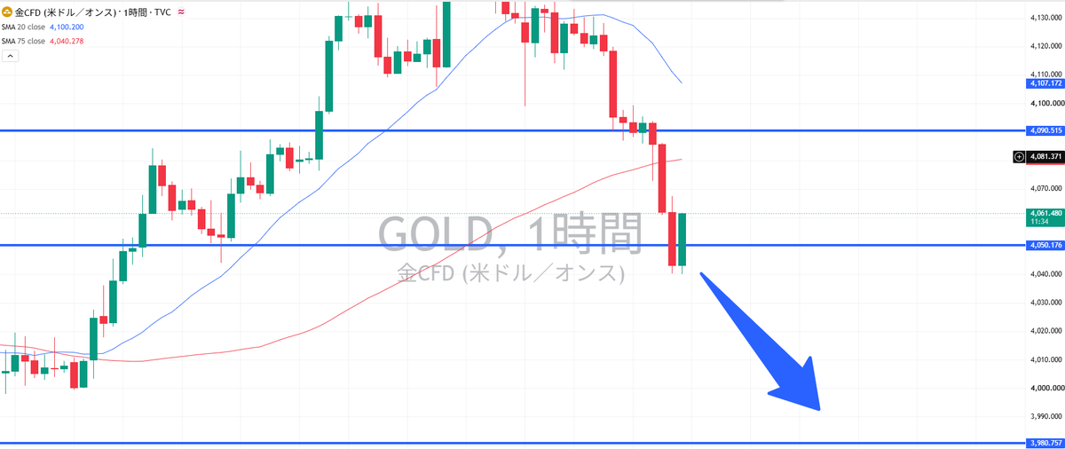 トキ【GOLD/ゴールド】 tweet media