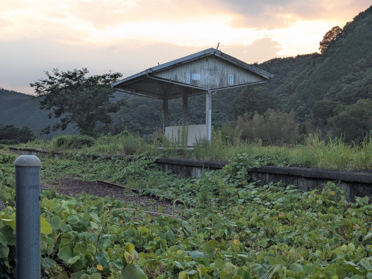 posttigers's tweet photo. 三江線式敷(しきじき)駅跡。つる性植物がホームにかなり被ってますね。数年で上家しか見えない状態になりそうですね。  #広島県 https://t.co/ya6pcn06kA