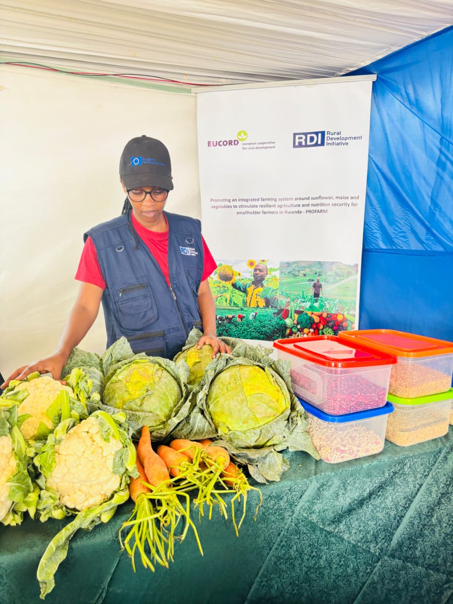 rdi_org's tweet photo. 22nd-31st /07/26 at the 19th Rwanda Agri-Show in Mulindi, RDI &amp; EUCORD highlighted the impact of the 🇪🇺-funded #KUNGAHARA project! 🌾
🌻 Big milestone: Pure, organic extra-virgin sunflower oil (ibihwagari) from our farmers is now on the market!
📍 Visit our stand &amp; pick up yrs https://t.co/IuiX3jqwuT