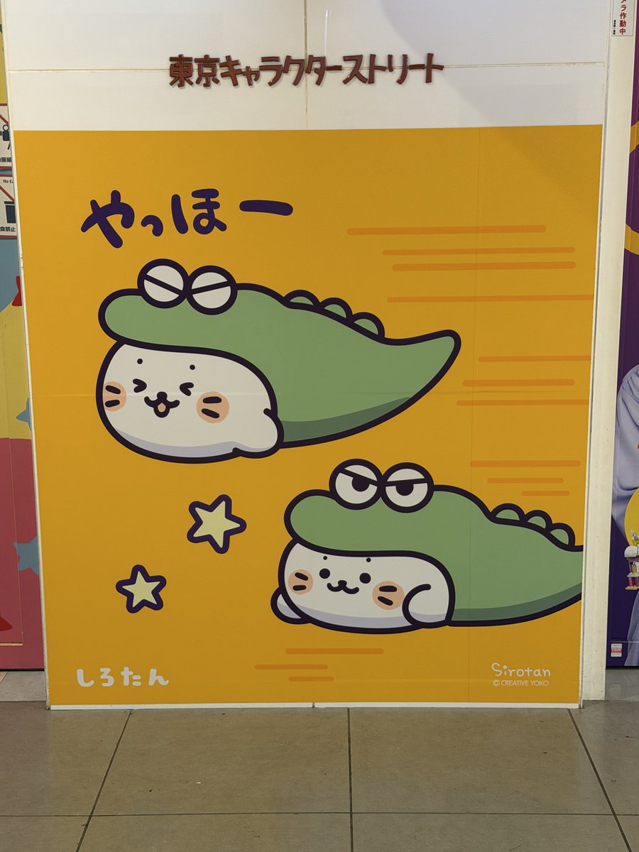 ricotan4689's tweet photo. 目が合いましたね🫪 https://t.co/JPhQMVfPcr