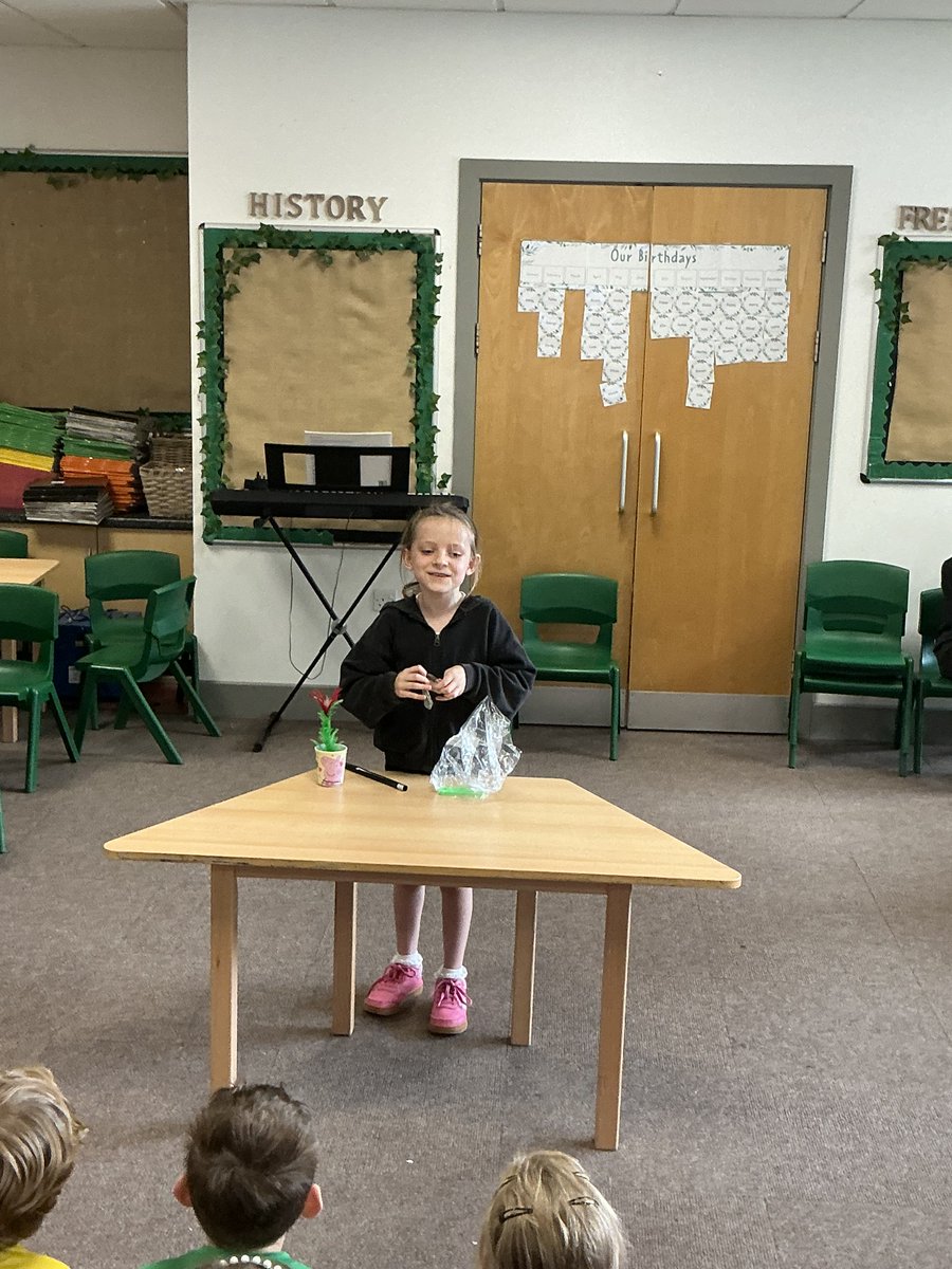 Maple Tree Class tweet media