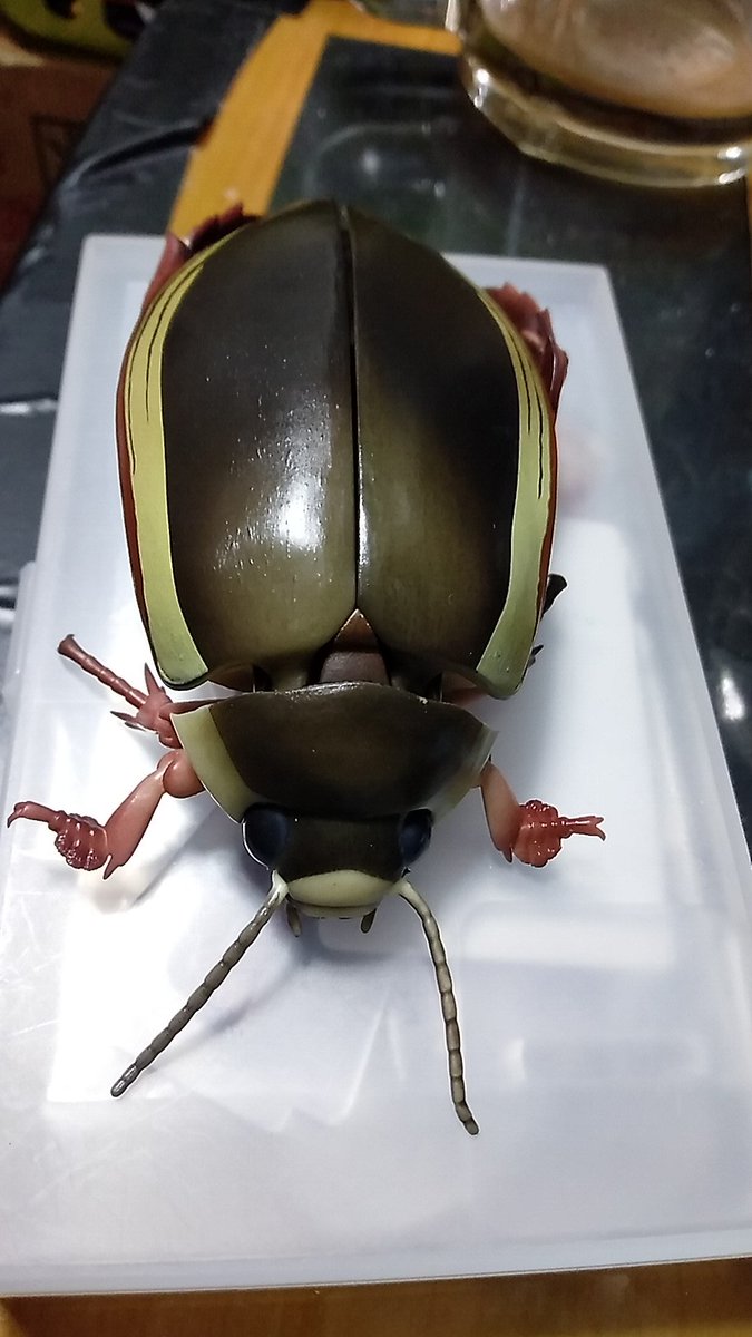 reticule_system's tweet photo. バンダイプレミアムガシャポン　水生昆虫02ゲンゴロウ

でかい！！
実際の成体から比べるとまさに別もの。
色合いがスタンダードで、若い個体の採取直後の天日の下の美しい青緑ではないが、コレはコレで。
色々稼働するのだけど、コレをどう飾ろうか……
いやあ、素晴らしいな、成体とは違った魅力ある https://t.co/NPsMIfHChN