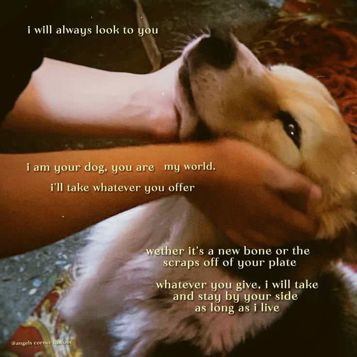 DoggyPosting's tweet photo. https://t.co/jiAxWMyLCO