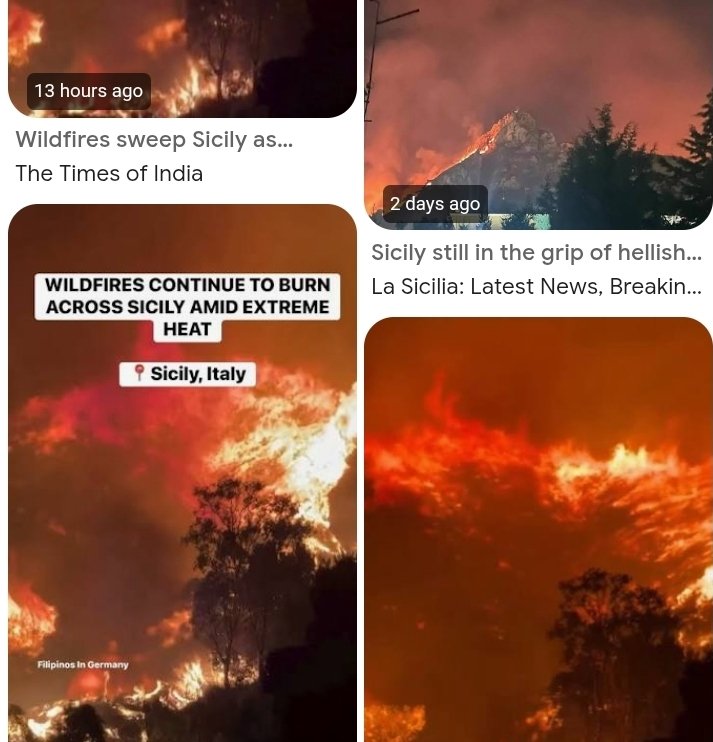 FranceskAlbs's tweet photo. Italy and Tunisia, my two homes, are burning -some by criminal hand, some by a heat that knows no limits. This is the bill for our consumerism and tolerance of leaders who deny the climate crisis. 

We and our children will burn.

Predatory elites will breathe conditioned air. https://t.co/FhbMQ6VZ2j