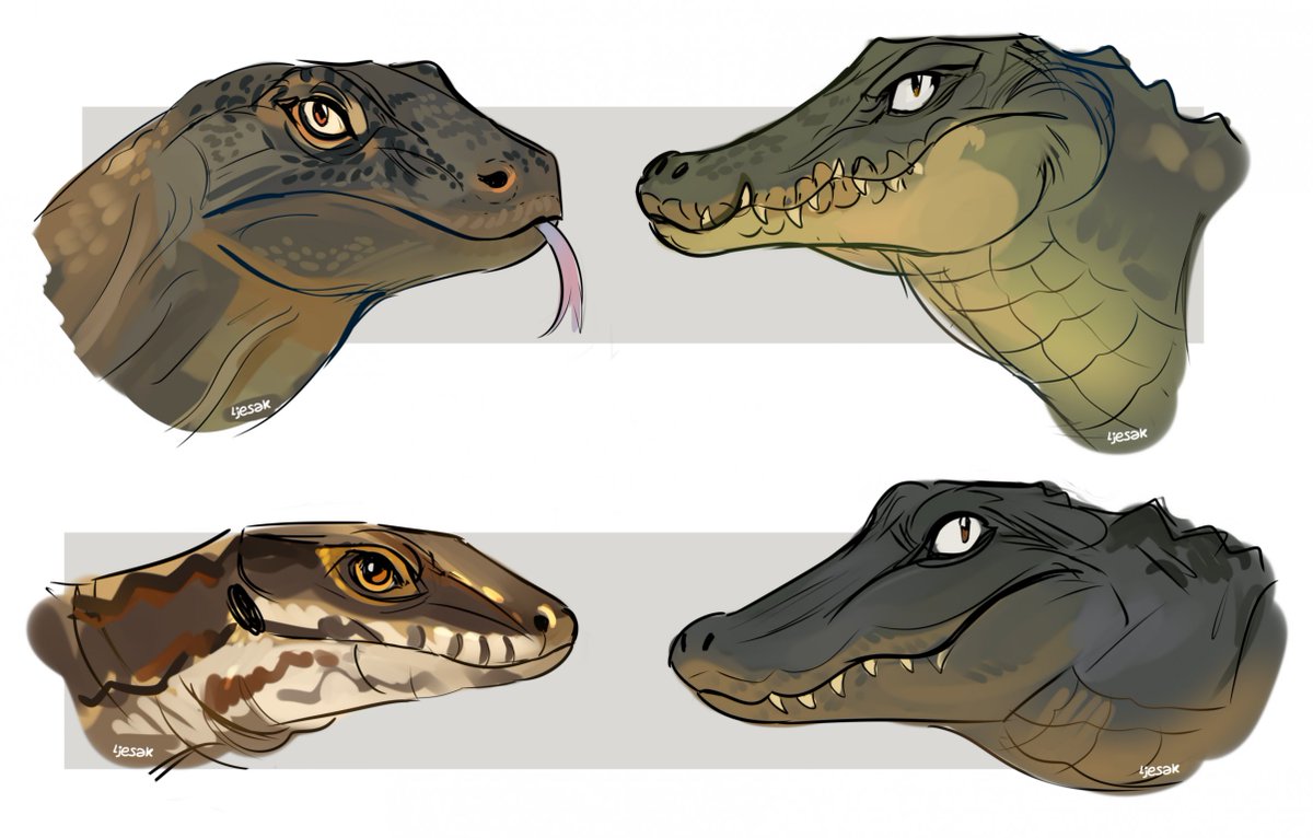 ljesak's tweet photo. reptile studies https://t.co/gS474atOv5
