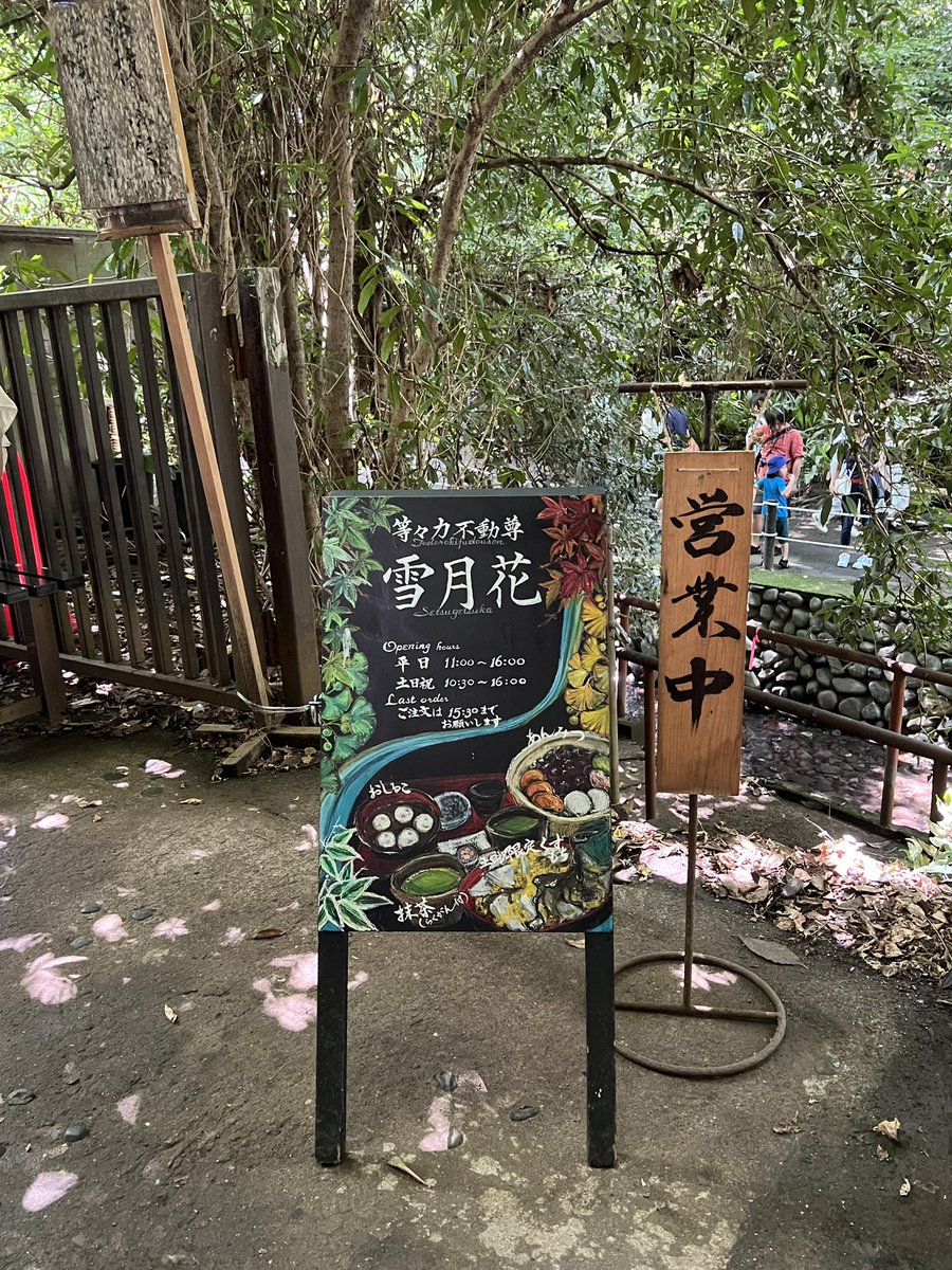 re_na031's tweet photo. 📍等々力渓谷 https://t.co/AdLNzUsG9J