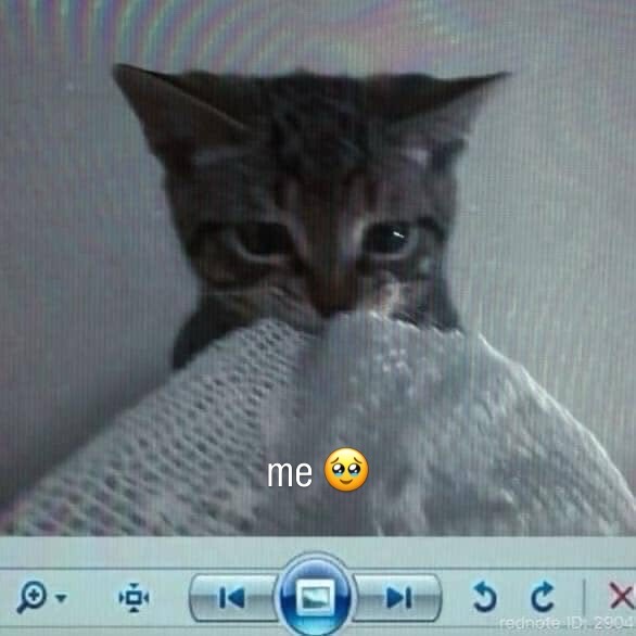 cat of souls tweet media