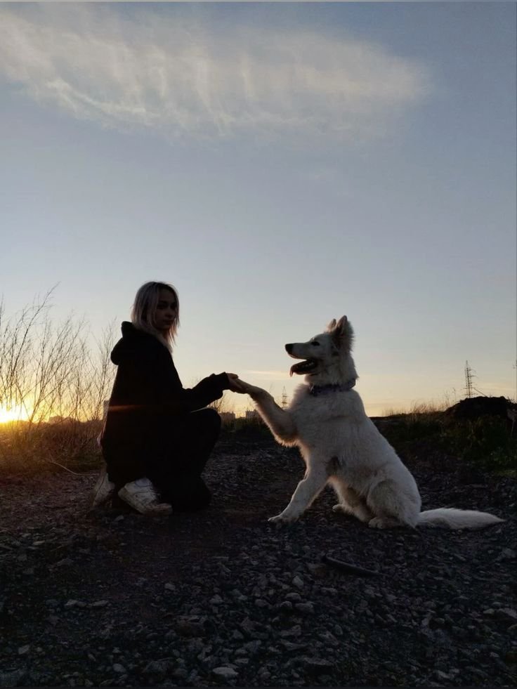 PAWS 🐾 PROFIT 📽 HUB tweet media