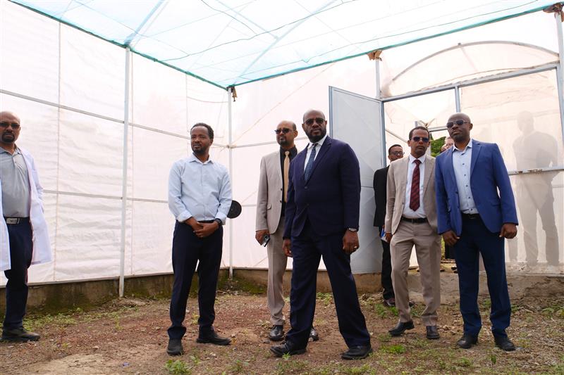 USEmbassyAddis's tweet photo. During the opening of #Ethiopia's newest American Space at @HawassaUniverst (HU), Ambassador Massinga met with university President Dr. Chirotaw Ayele. They exchanged ideas on sustaining and growing academic cooperation between the United States and Ethiopia, including the ongoing HU partnership with leading U.S. universities on malaria research.  HU’s Malaria and Other Vector-Borne Diseases Research Center spearheads interdisciplinary research and specialized training focused on malaria, vector-borne infections, and neglected tropical diseases, helping to keep Americans and Ethiopians safe from health threats. #USinEthiopia