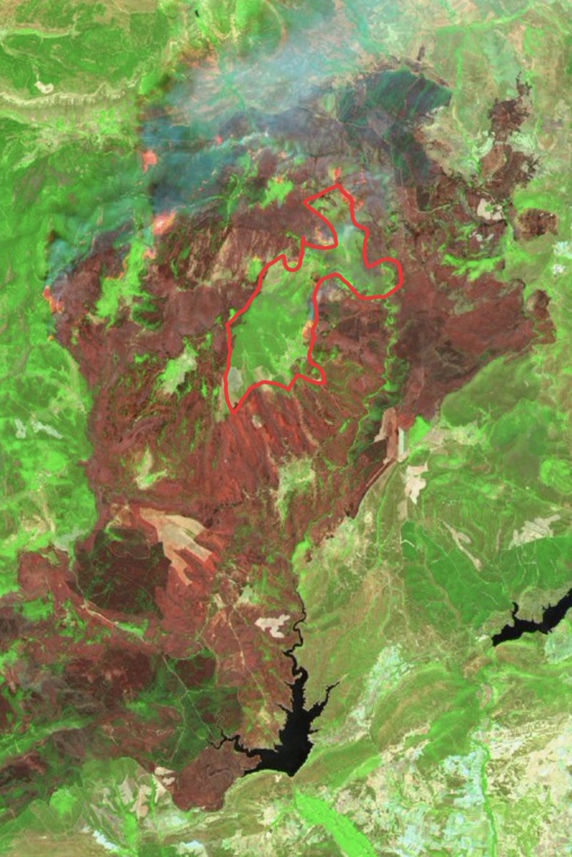 CAbad_'s tweet photo. De las imágenes del @CopernicusEU #IFLaMierla no es caprichosa la zona verde, a salvo, en la ladera sur del Alto Rey y la vertiente hacia Prádenas. Esa zona sufrió otro incendio en 2014 #IFBustares.

Tristemente, los propios incendios son nuestra única política preventiva. https://t.co/tIvdfdP7mj