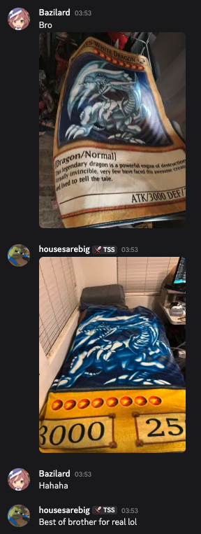 housesarebig's tweet photo. my best-of brother @Bazilard has a blue-eyes rug and i have a blanket 🤣🤣 no wonder we earned the same best-of https://t.co/s07ZzGcrNU