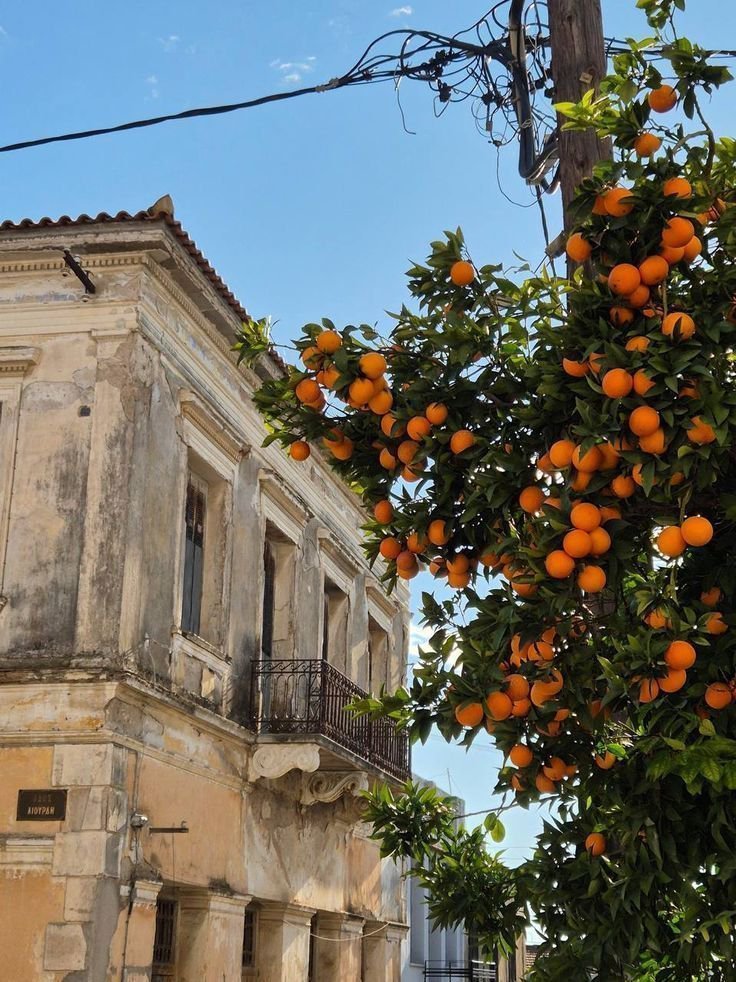onllycutestuff's tweet photo. Sicily, Italy https://t.co/jWLdfbY4Ld