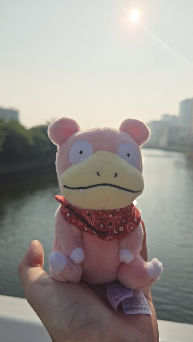 Little2400's tweet photo. 来月、香川に遊びに行きます☺️✨
ポケモンセンターカガワにお邪魔したり、ご当地ポケモンのヤドンに会いに行く🥳✨

うちのヤドンもめっちゃ楽しみにしてます✨✨

#ポケモンfit
#ポケモンfitのある暮らし
#ポケモンセンターカガワ https://t.co/9GXcv3r7Ms