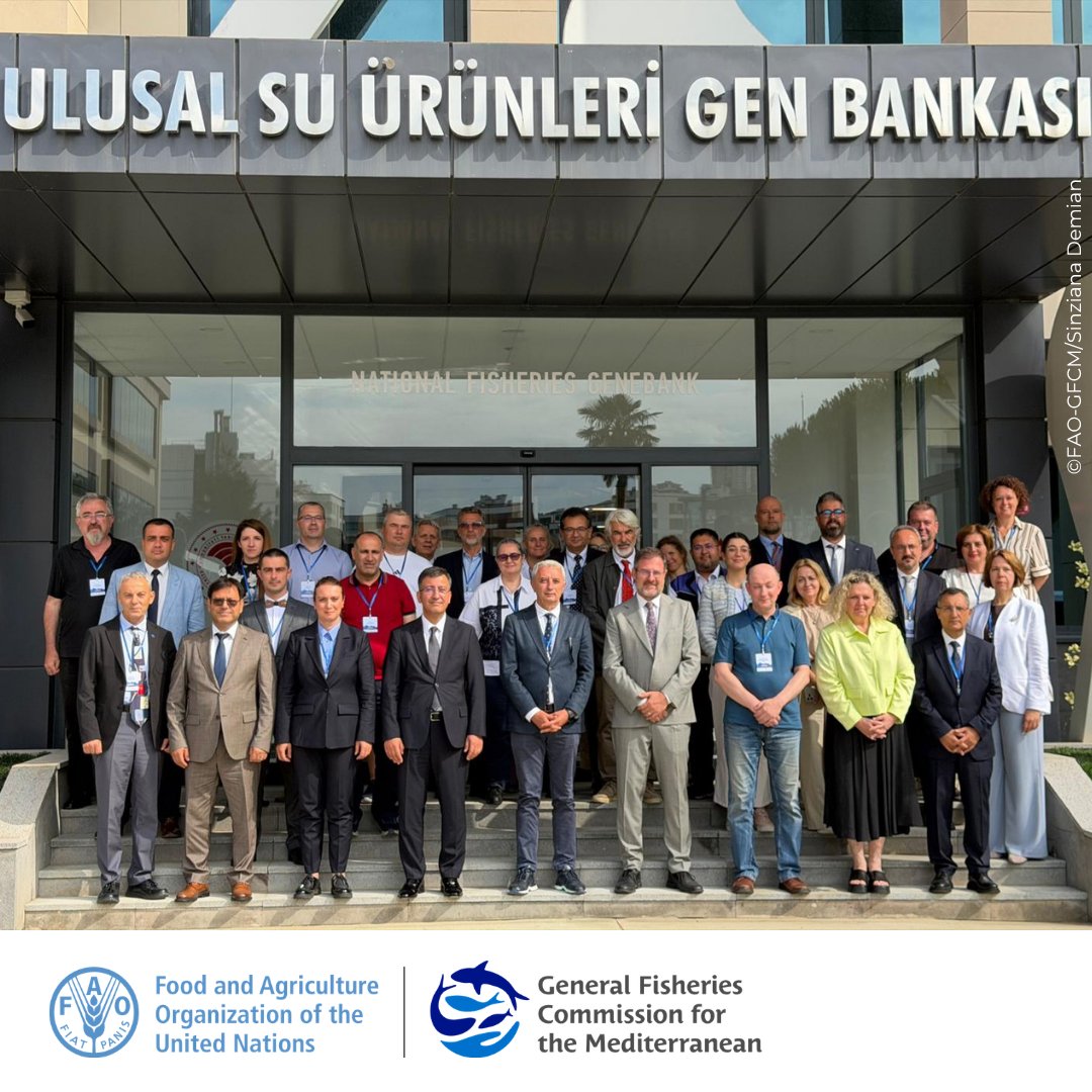 UN_FAO_GFCM's tweet photo. That's a wrap on #GFCM_ACBS❗️

Thank you to the delegates from 5⃣ Black Sea countries &amp; the EU, and the experts who attended.

🇧🇬🇬🇪🇪🇺🇷🇴🇹🇷🇺🇦

🌊Together, we contribute to advancing #SustainableFisheries in the Black Sea

Stay tuned to find out the conclusions! https://t.co/vYrCYHQkgY