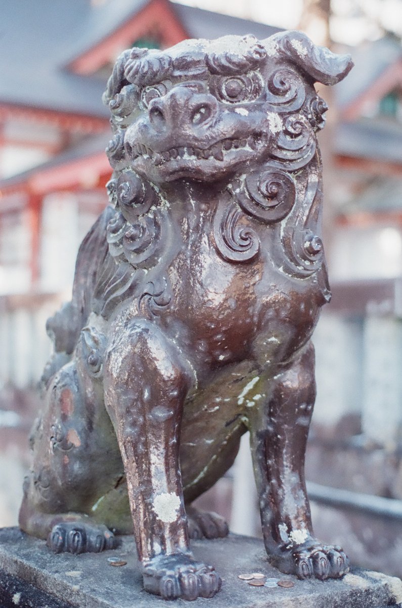 遠野郷八幡宮の陶器製の狛犬さんたち。 大好きなので何度でも撮って