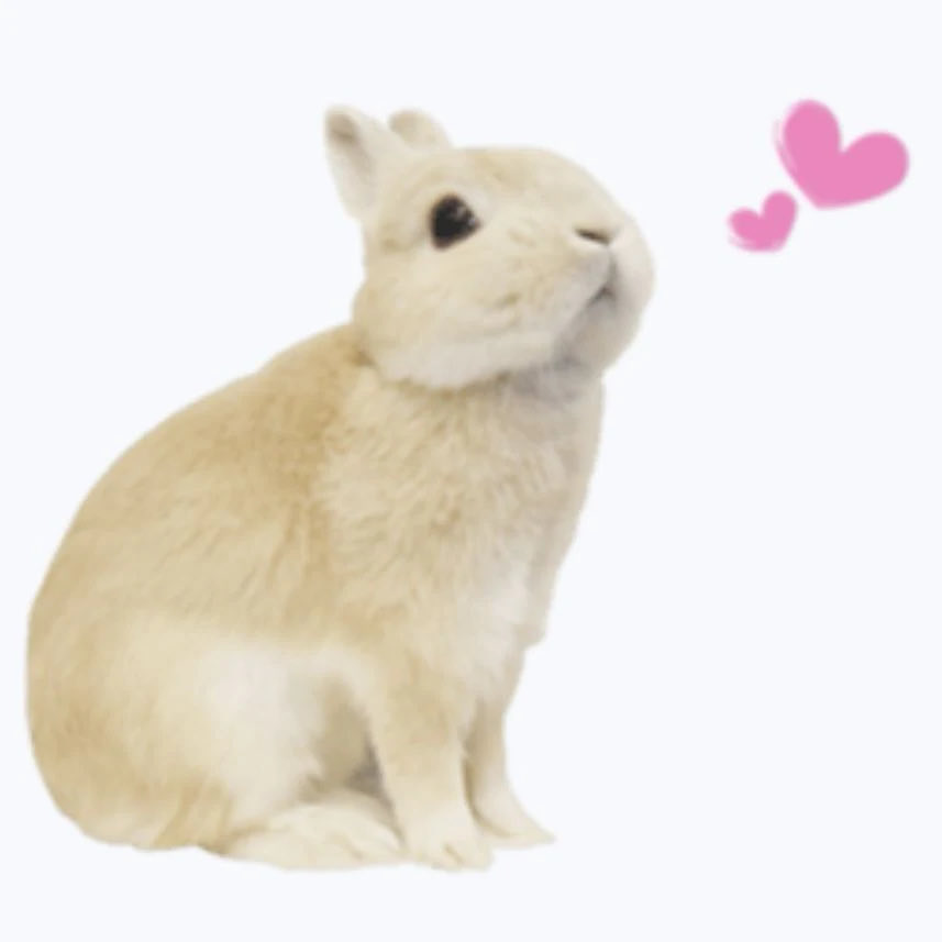 Bunnies's tweet photo. https://t.co/677KwaT2uI