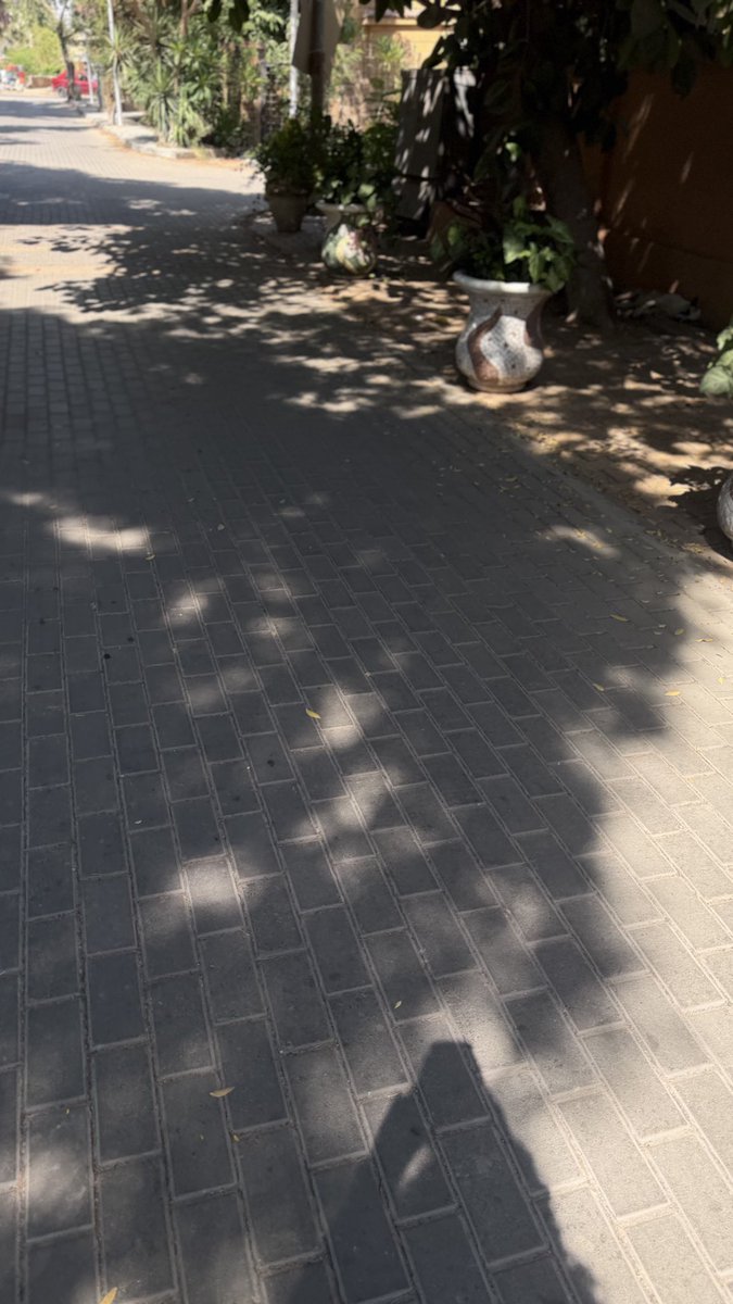 Hindaljaddua's tweet photo. -جودة الحياة:أن تتوقف أمام شجرة، ولا تعتبر ذلك خسارة في السباق. https://t.co/6ZRsqGUD08