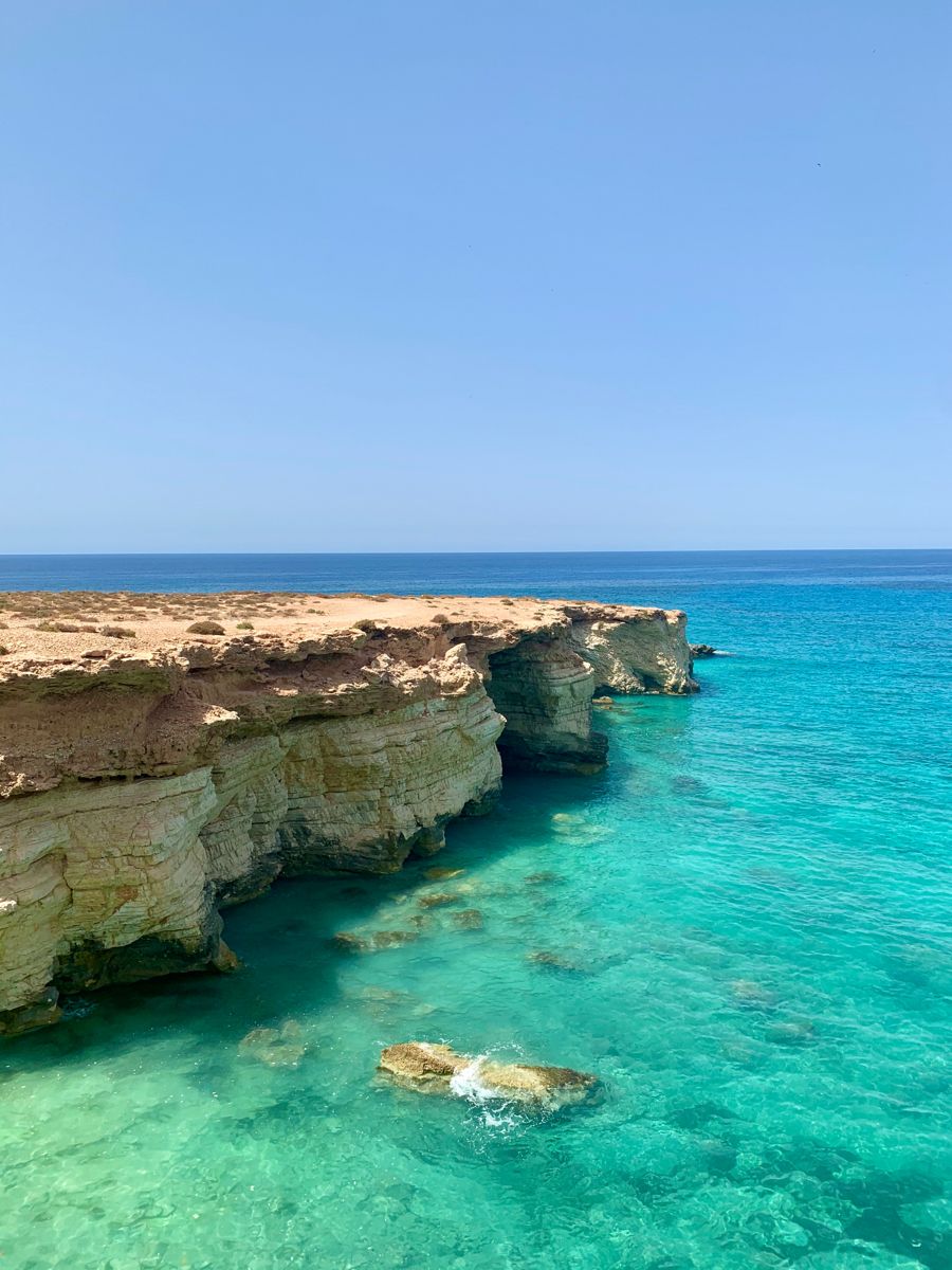 salwamasoukt's tweet photo. 🇱🇾 Nature of Libya 🌿✨
From golden deserts to turquoise coastlines and breathtaking mountains, Libya is a land of incredible natural beauty waiting to be explored.
#Libya #Nature #ExploreLibya #VisitLibya #Travel #Africa https://t.co/EFmL2KuVvX