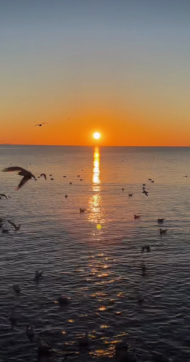 saosyea's tweet photo. Headed to the coastal trail for sunrise this morning—salt air and soft waves hitting the shore, perfect start to the weekend! https://t.co/T68DEqf3nt