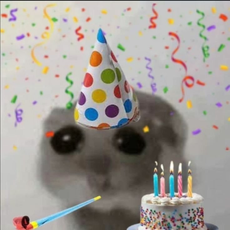 hadaarosa's tweet photo. BUEN DIAA HOY ESTOY DE CUMPLEAÑOSS 🎉 https://t.co/tqMBVmBv2v