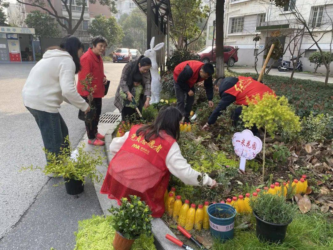 CletaSommers's tweet photo. Spent the afternoon tidying the community garden with lovely volunteers—fresh veggies grew, and so did our big smiles!  #VolunteerWork https://t.co/UmYLqfTa8y