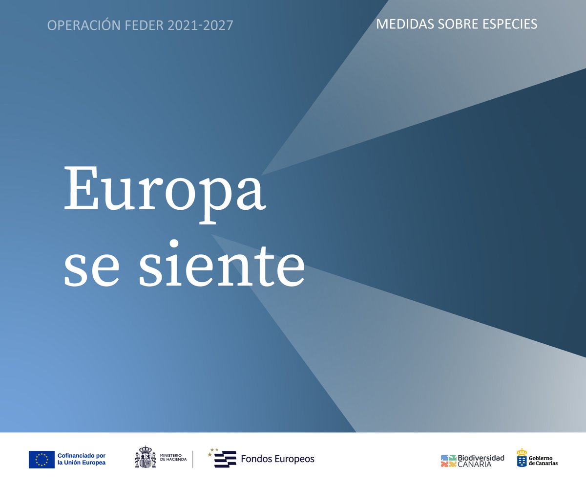 Biodiv_GobCan's tweet photo. Este proyecto cuenta con la cofinanciación del Programa Canarias #FEDER 2021-2027, la Dirección General de Espacios Naturales y Biodiversidad del Gobierno de Canarias y está permitiendo mejorar los datos sobre el estado de especies amenazadas para favorecer su conservación. https://t.co/lSo2qV4cd0