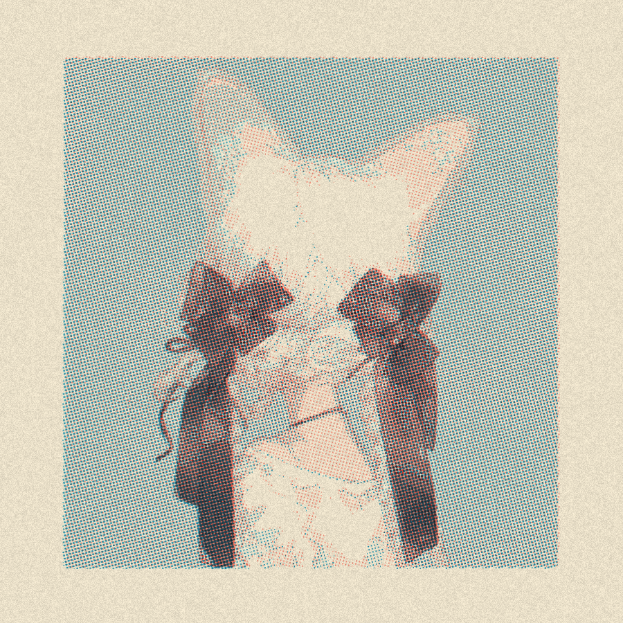 ねこ助 tweet media