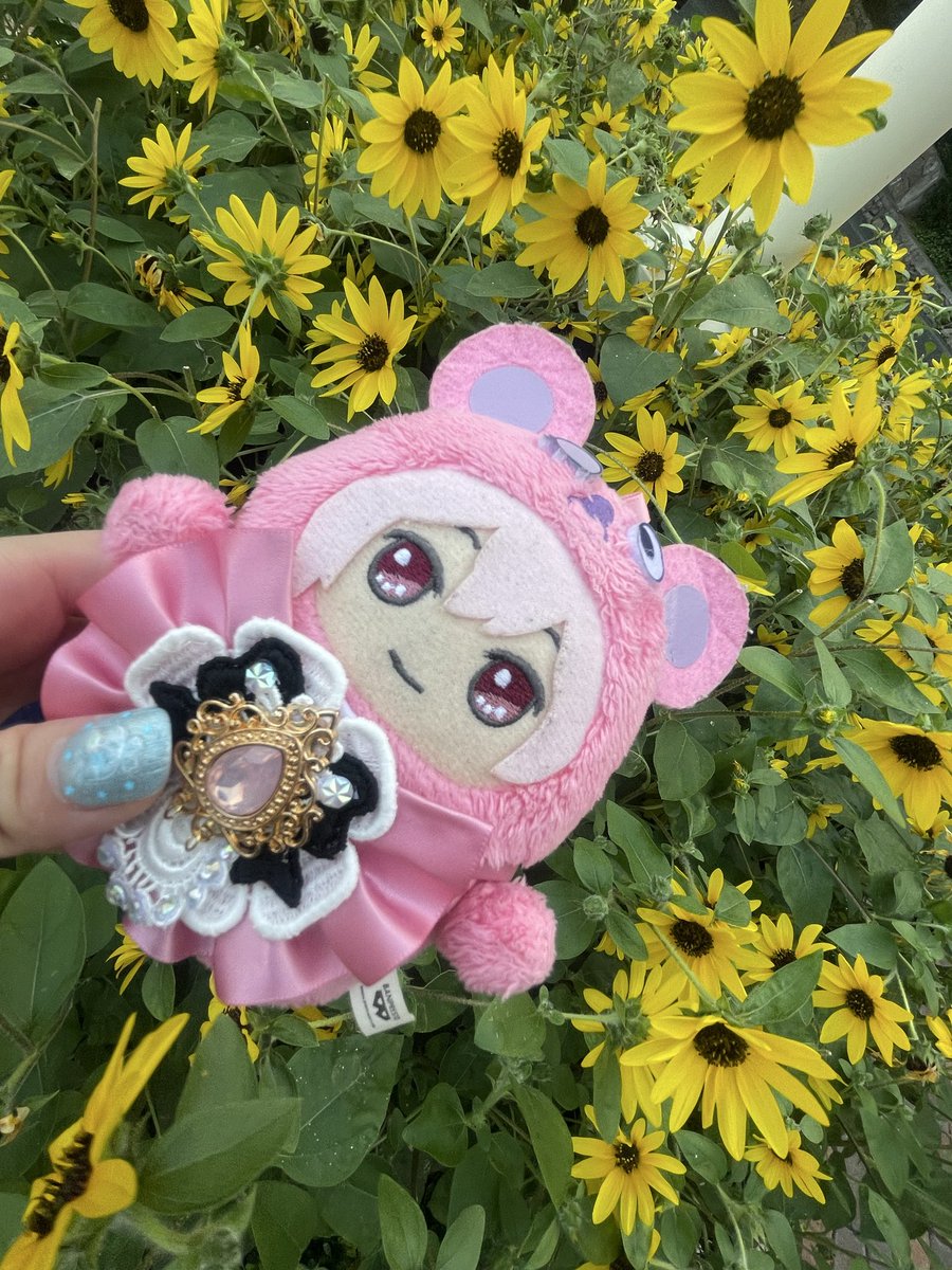 monnasu417's tweet photo. なかなか向日葵見に行けなかったけど
ディズニーで見つけた🌻
良かったね！天くん♡ https://t.co/rhBdnCIvv3