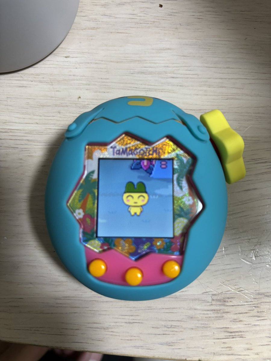 sandrand310's tweet photo. ちなみにちゃんとたまごっちもやってて、
なんごくまめっちです。

たまごっちパラダイスも、子供らの分合わせたら全色持ってるし、
嫁も子供4人も好きで、たまごっちグッズ集めてたら文句言われるなってすげームカつく。
#たまごっち #ガチャ #まめっち https://t.co/9UJeyuZFpA